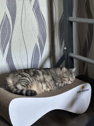 Когтеточка-лежанка для кошек Say Meow Cloud гофрокартон, 61х21х24 см (8040190102001) фото от покупателей 2