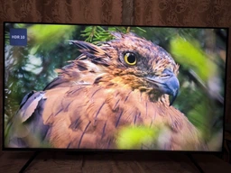 Телевизор TCL MiniLED 55" 55C6K фото от покупателей 14