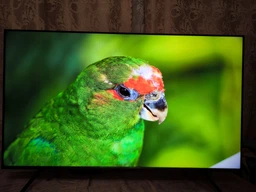 Телевизор TCL MiniLED 55" 55C6K фото от покупателей 12