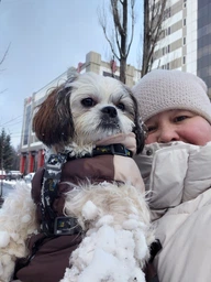 Комбінезон для собак Pet Fashion «RAIN» 6-XL (червоний) фото від покупців 1