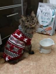 Светр для котів (кішок) Різдво XL Червоний фото від покупців 1