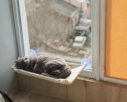 Лежанка для кота оконная VMHouse лежачок гамак для кошки спальное место на присосках розовый (0014-0004) фото от покупателей 2