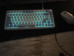 Игровая механическая клавиатура AJAZZ AK820 MAX: Hot-Swap, Gasket Mount, RGB, Магнитные переключатели фото от покупателей 1
