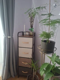 Комод побутовий LUMINARIA HOME MIX 4B (органайзер для зберігання речей та одягу)