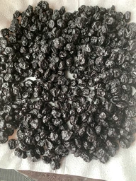 Сушеная черника King в вакуумной упаковке 1 кг фото от покупателей 1