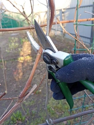 Секатор обводной Razorsharp PRO.6659BS/13. Spear & Jackson