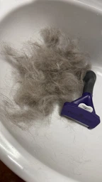 Фурминатор для котов с короткой шерстью FURminator размер M/L (691661) (4048422141259) фото от покупателей 2