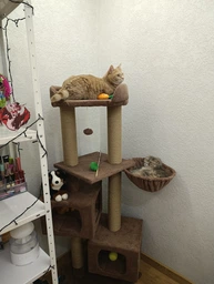 Домик когтеточка для кота дряпка для кошки Мур-Мяу Дуплекс 60 x 60 x 138 см в джутовой веревке Коричневый МТ фото от покупателей 4