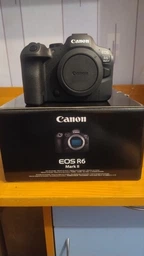 Фотоаппарат Canon EOS R6 Mark II Body Black (5666C031AA) фото от покупателей 2