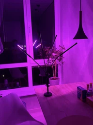 Фитолампа USB для роста растений на 4 лампы с подставкой, светодиодная LED фито лампа светильник для комнатных цветов, рассады, орхидей фото от покупателей 15