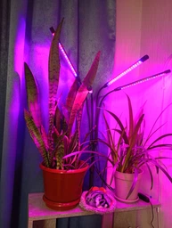 Фитолампа USB для роста растений на 4 лампы с подставкой, светодиодная LED фито лампа светильник для комнатных цветов, рассады, орхидей фото от покупателей 14
