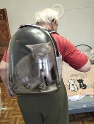 Рюкзак переноска для кота кошки собаки домашних животных до 8 кг с окошком прозрачный кошачьи рюкзаки для переноски котов кошек маленьких собак зелёный (002277) фото от покупателей 7