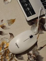 Мышь Logitech B100 USB White (910-003360)