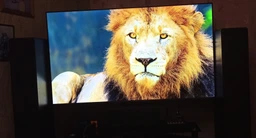 Телевізор Xiaomi TV A Pro 65 2026 фото від покупців 13