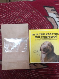 Таблетки для собак Апоквель при дерматитах различной этиологии, сопровождающихся зудом, 3,6 мг, 1 таб. (10015830К) фото от покупателей 1