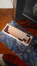 Механічна бездротова (Bluetooth + 2,4G) клавіатура з HOT SWAP Attack SHARK X66, PBT Keycaps, 66 key, RGB, Win,Mac OS, УКР та АНГЛ, WHITE/БІЛА (X66W) фото від покупців 2