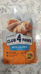 Вологий корм Club 4 Paws для дорослих котів з індичкою в желе 85 гр