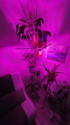 Фитолампа светодиодная LED Plant Grow Light на 4 лампы для роста растений на прищепке фитосветильник для комнатных цветов, рассады фото от покупателей 3