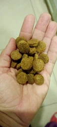 Сухой корм Brit Premium Dog Adult M для собак средних пород с курицей 15 кг фото от покупателей 1
