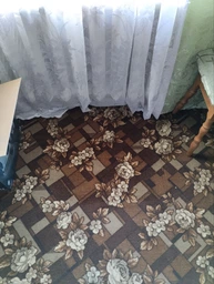 Моющий пылесос-пятновыводитель Rowenta Clean It Compact IN3020F0 фото от покупателей 17