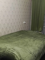 Плед Ardesto Flannel 100% полиэстер, зеленый 200х220 см (ART0212SB)