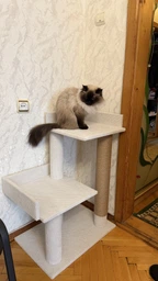 Когтеточка царапка для кошки коту с двумя лежанками 75*60*40см серая фото от покупателей 9