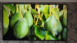 Телевизор Samsung QLED 55" QE55Q7F5AUXUA фото от покупателей 1