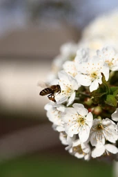 Canon RF 50mm f/1.8 STM (4515C005) фото от покупателей 2