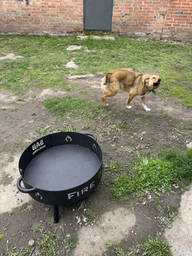 Костровая чаша Fire pit 60 см садовая чаша для огня очаг SAB фото от покупателей 6