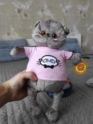 Мягкая игрушка Котик Басик — плюшевый серый кот, 30 см в розовой футболке, арт. M47440-1 фото от покупателей 1