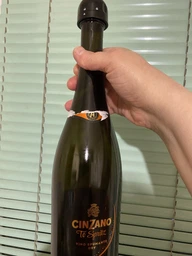 Многоразовая вакуумная пробка для шампанского WineStopper фото от покупателей 1