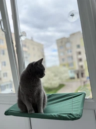 Спальное место для кошки кровать лежанка оконная гамак Sunny Seat Window