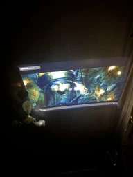Cмарт проектор для фильмов яркость 1000 ANSI 2/16GB портативный Bioscope Ismart X9 4K Projector Full HD до 150 дюймов HDMI-совместимый на Android 11 TV/AI Auto Focus поддержка Bluetooth Wi-Fi мультимедийный домашний кинотеатр с автофокусом фото от покупателей 2