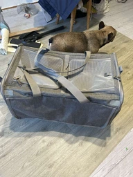Сумка переноска для кота кошки собаки домашних животных двухместная сумка с окошком и выдвижной ручкой на колесиках колесах кошачьи сумки для переноски котов кошек маленьких собак чёрная (002273) фото от покупателей 1