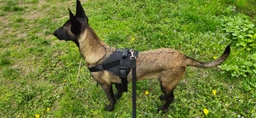 Шлея для собак Harness, тактический жилет с ручкой L (70-90 см) Коричневый (019L-KHAKI)