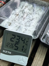Термогигрометр RZTK Monitor 2 (2025) фото от покупателей 5