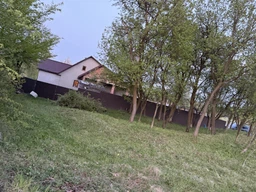 Пила цепная аккумуляторная Procraft PKA44 +2 АКБ (две шины, две цепи)