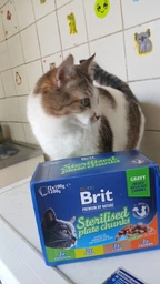 Вологий корм для стерилізованих котів Brit Premium Sterilised pouch 12шт/100 г, асорти із 4 смаків у желе
