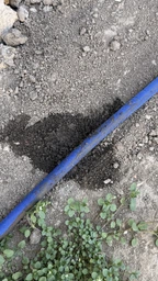 Садовий шланг Magic Hose XHose 60 м саморозтяжний з розпилювачем 7 режимів фото від покупців 19