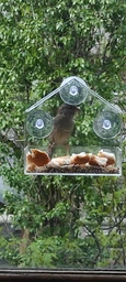 Прозрачная Кормушка для Птиц на окно "Домик" с прочными присосками (BIRD001)
