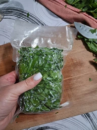 Вакуумный упаковщик для продуктов + Подарок Пакеты 50шт