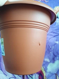 Горщик Stefanplast Linea Mediterraneo 26 см Теракотовий (82260)