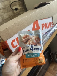 Упаковка вологого корму для дорослих котів Club 4 Paws для дорослих котів з ягням в соусі 85 гр 24 шт