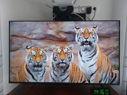 Телевизор TCL MiniLED 55" 55C6K фото от покупателей 4