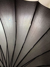 Большой мужской перезидентский зонт 24 спицы Зонтик-трость Антишторм Umbrella полуавтомат система антиветер Черный TC фото от покупателей 2