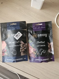 Хрустящие лакомства для котов Savory для здоровья кожи и шерсти, лосось с малиной, 50 г (4820232631386)