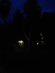Декоративный садовый светильник Светлячки на солнечной батарее 10 LED за 1 шт