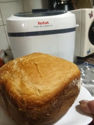 Хлебопечка TEFAL Pain & Tresor PF250135