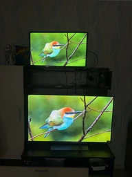 Телевизор LG OLED 65" OLED65C54LA фото от покупателей 5