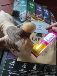 Сухой корм для котов Savory Adult Cat Steril Fresh 8 кг ягненок и курица